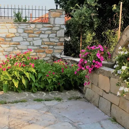 Vasilis House